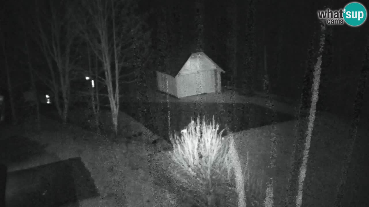 Webcam Lukanja – Water Village | Pohorje Houses