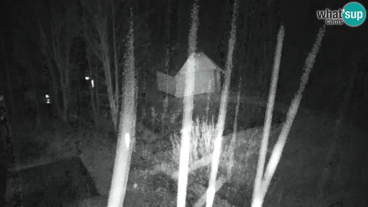 Webcam Lukanja – Water Village | Pohorje Houses