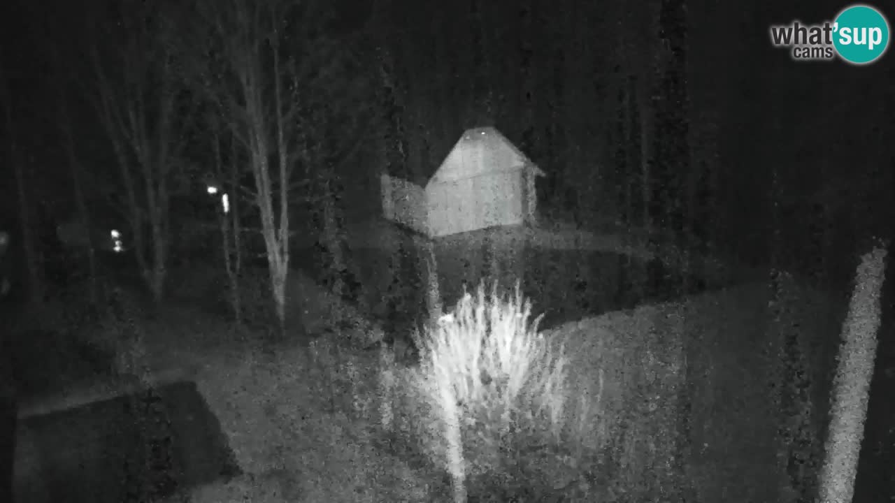 Webcam Lukanja – Water Village | Pohorje Houses