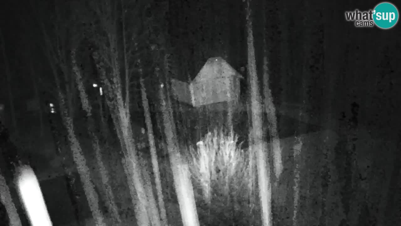 Webcam Lukanja – Pohorje houses a Water village