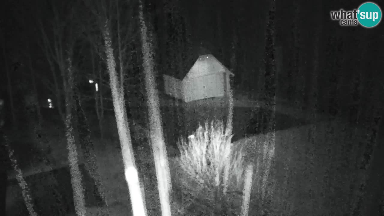 Webcam Lukanja – Pohorje houses a Water village