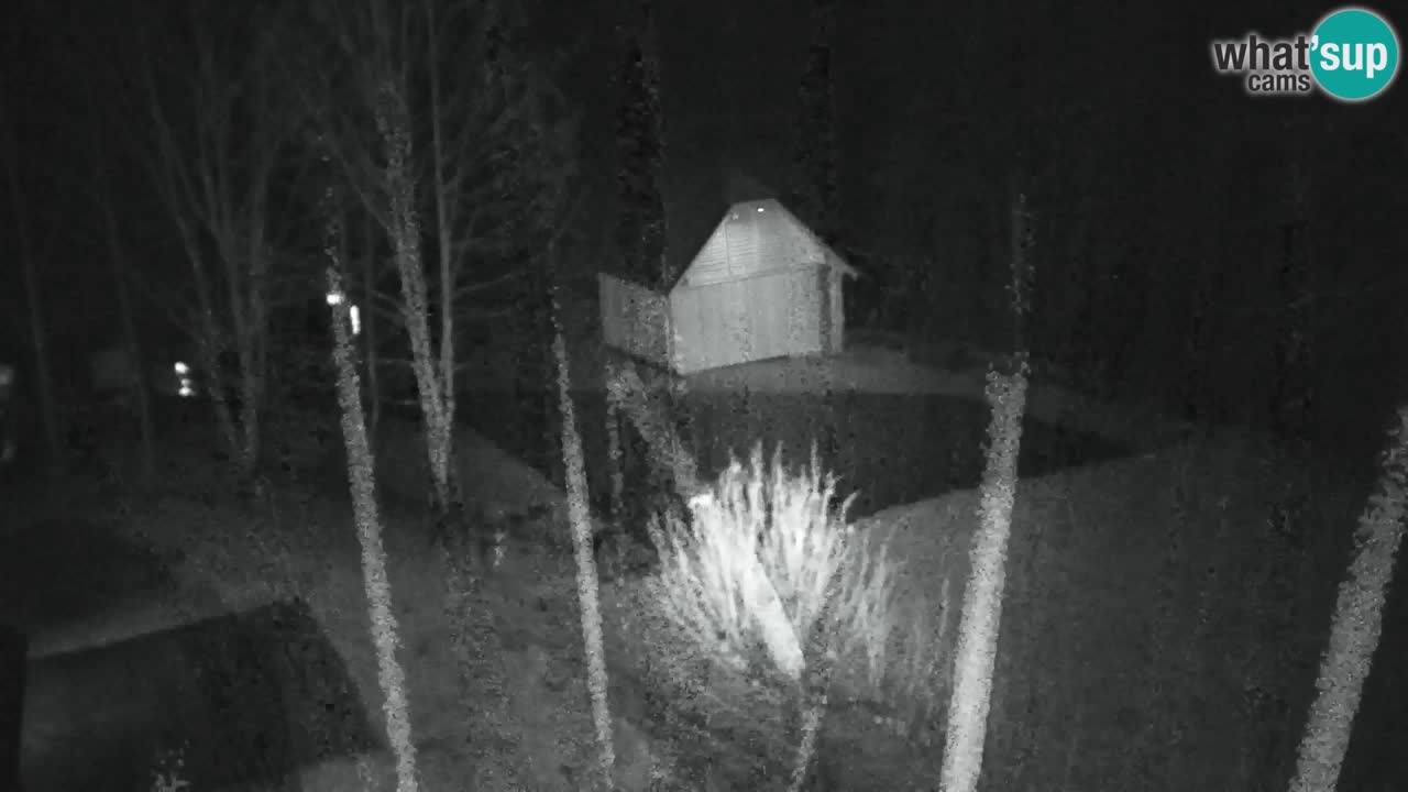 Webcam Lukanja – Water Village | Pohorje Houses