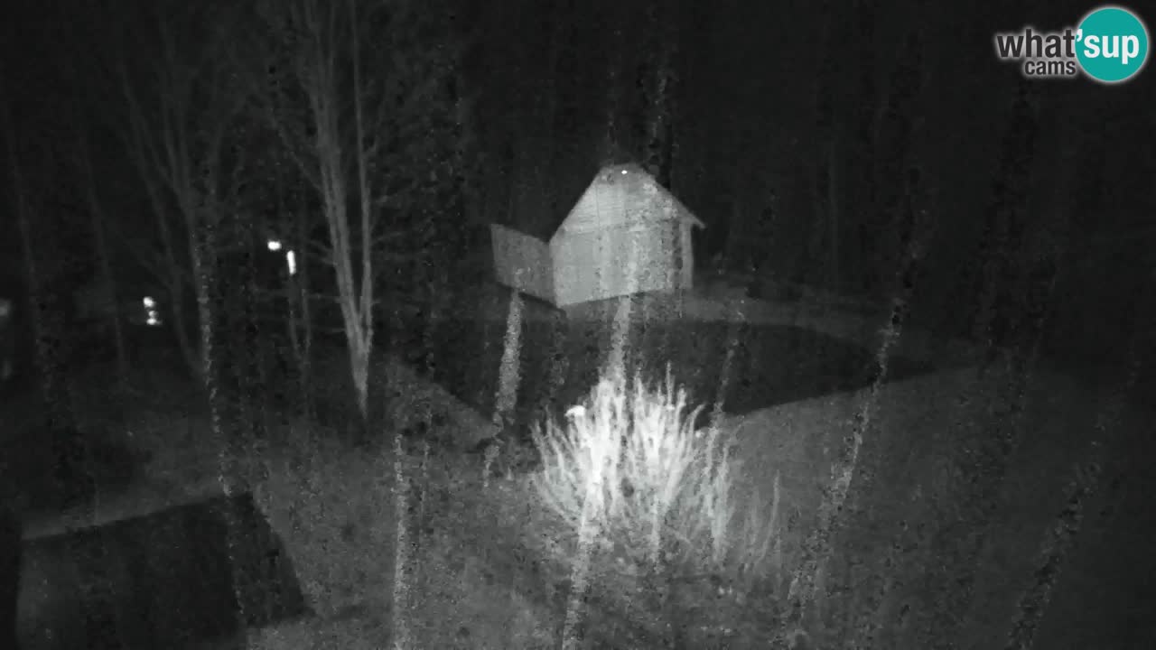 Webcam Lukanja – Water Village | Pohorje Houses