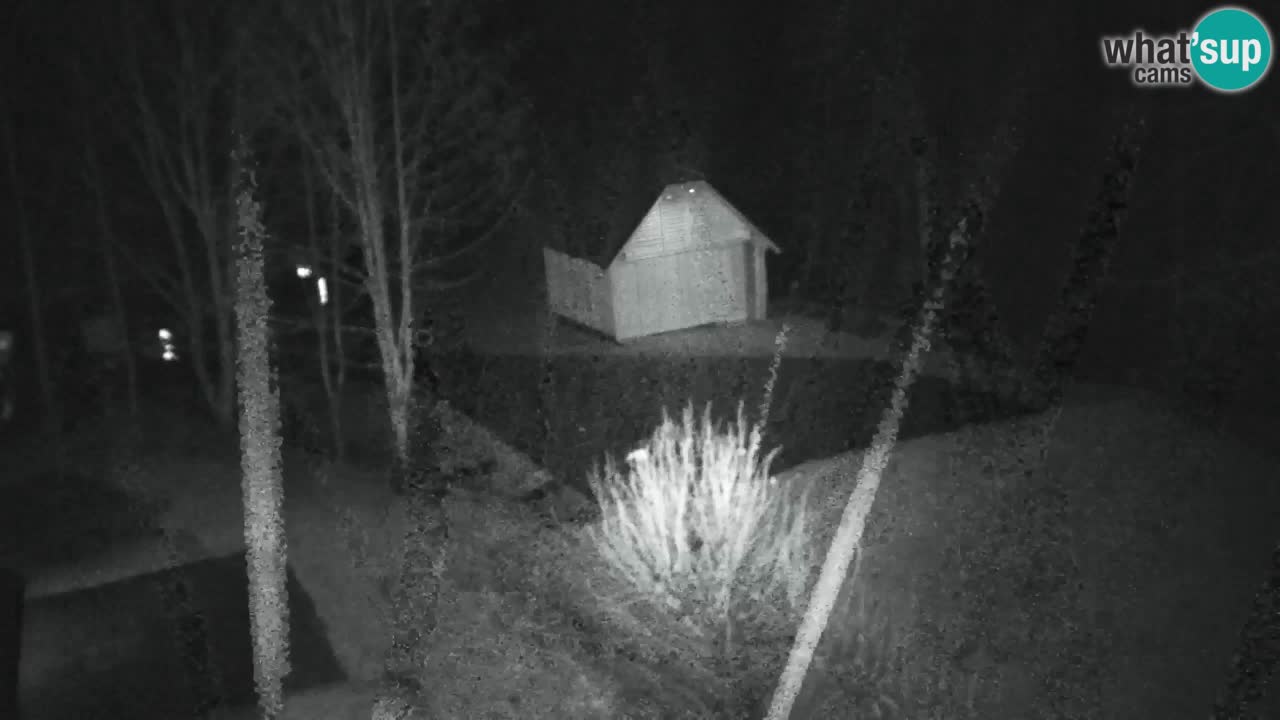 Webcam Lukanja – Water Village | Pohorje Houses