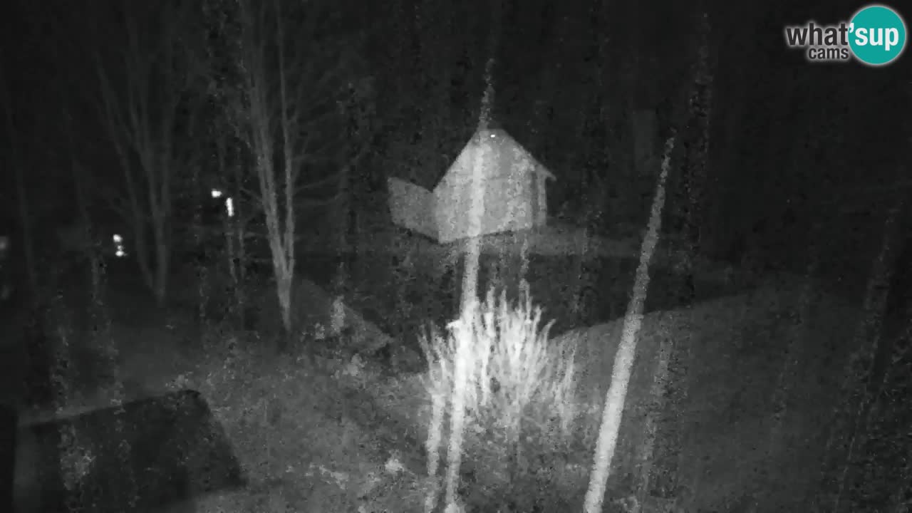 Webcam Lukanja – Pohorje houses a Water village