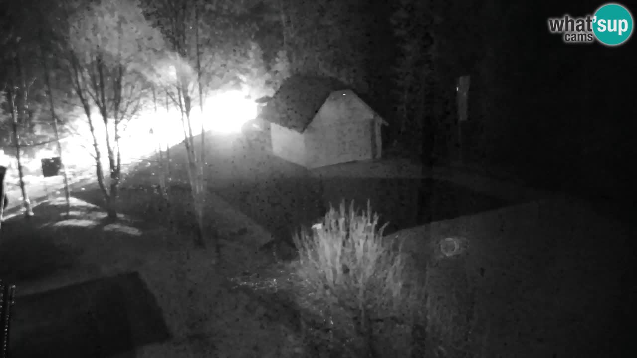 Webcam Lukanja – Pohorje houses a Water village