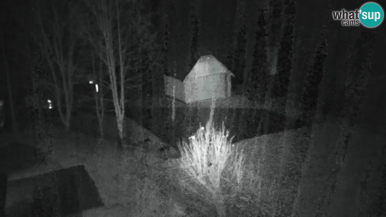 Webcam Lukanja – Pohorje houses a Water village