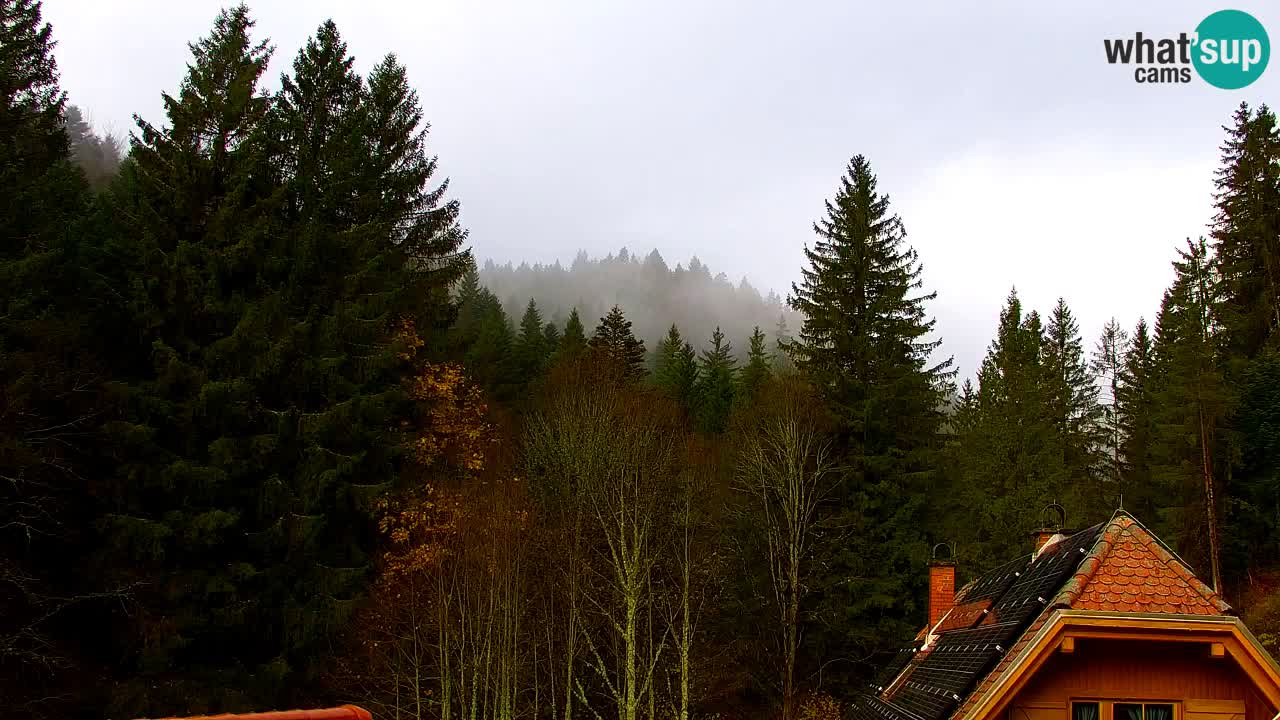 Webcam Lukanja – Water Village | Pohorje Houses