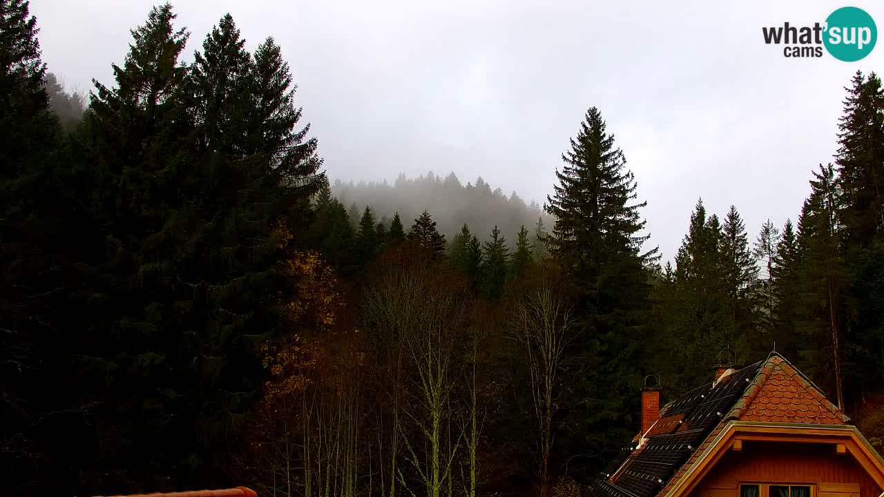 Webcam Lukanja – Pohorje houses a Water village