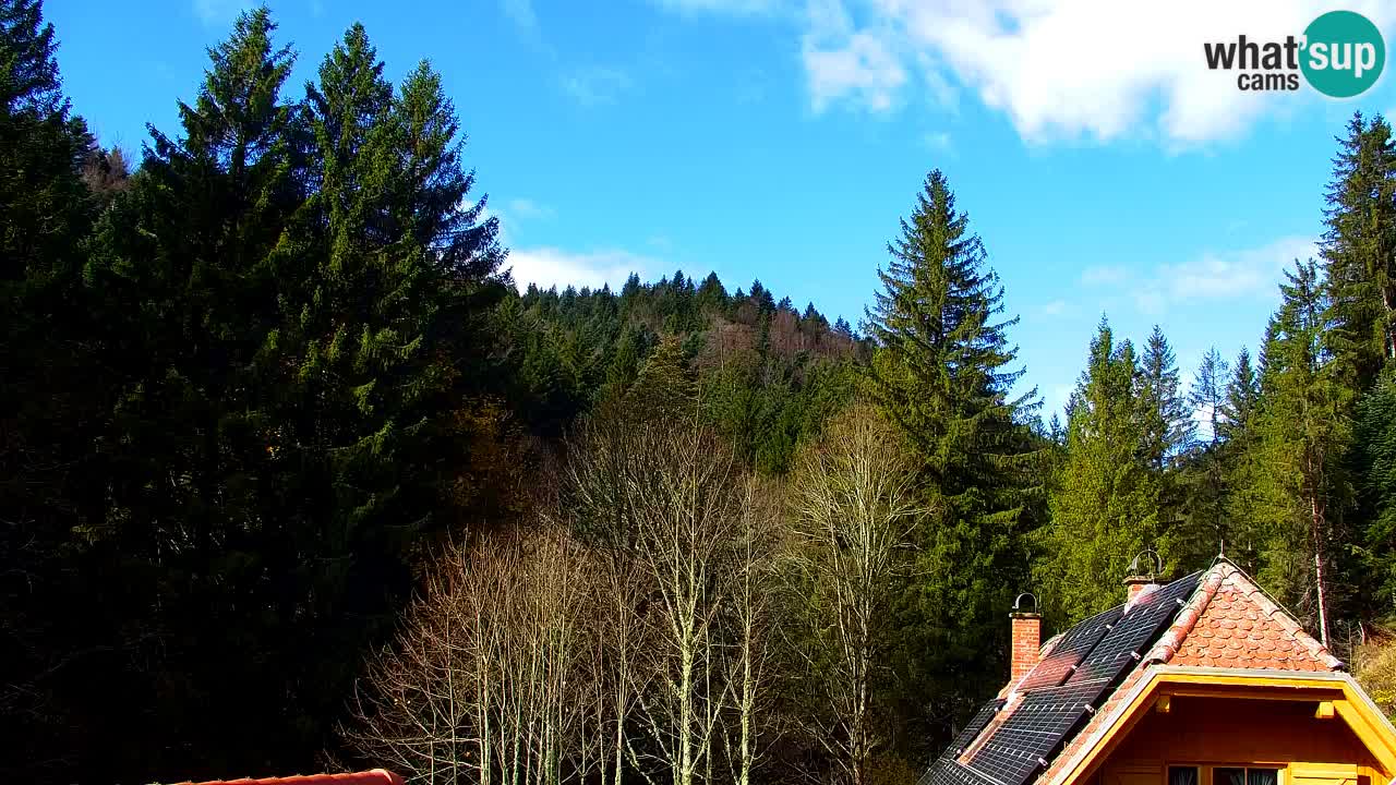 Webcam Lukanja – Pohorje houses a Water village