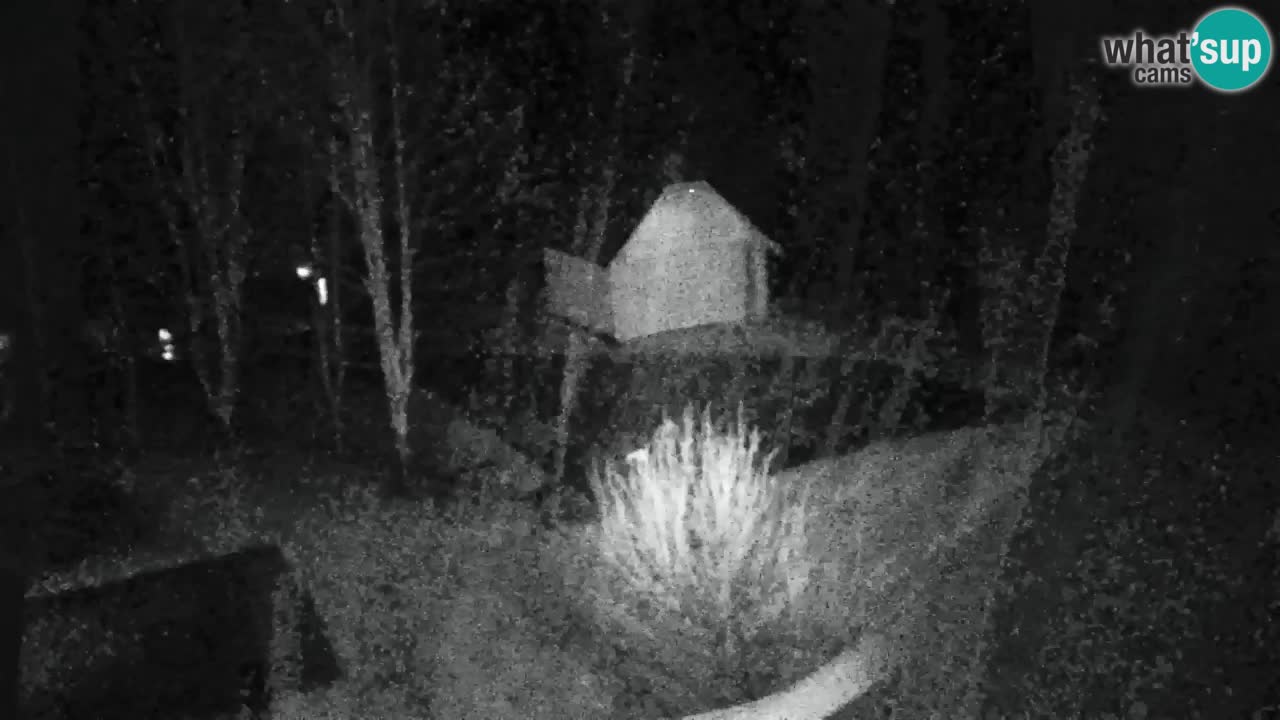 Webcam Lukanja – Pohorje houses a Water village