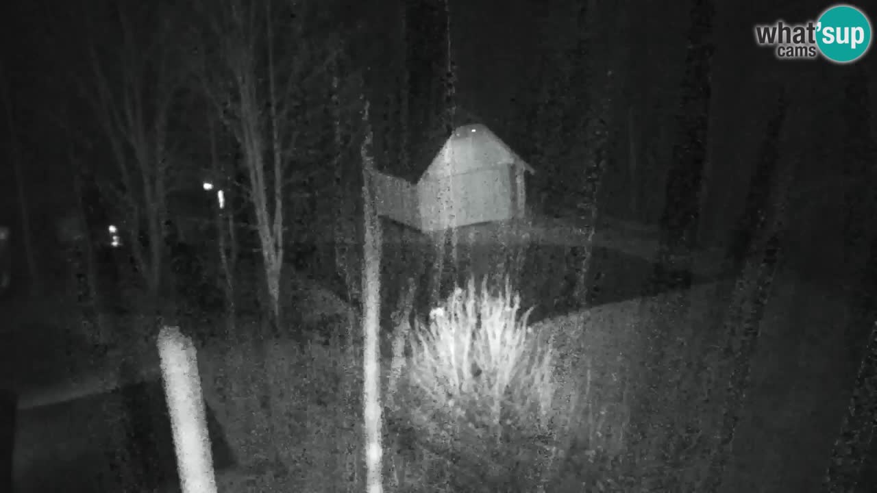 Web kamera Lukanja – Water Village | Pohorje Houses