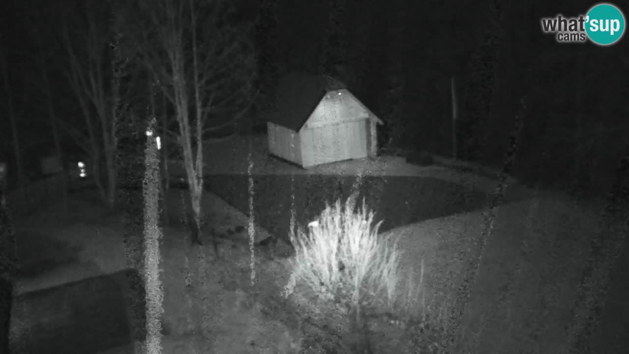 Web kamera Lukanja – Water Village | Pohorje Houses