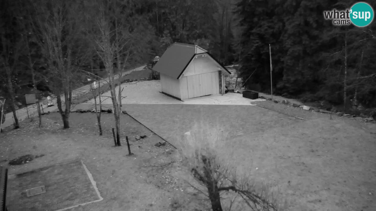 Webcam Lukanja – Water Village | Pohorje Houses