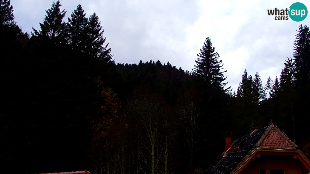 Webcam Lukanja – Water Village | Pohorje Houses