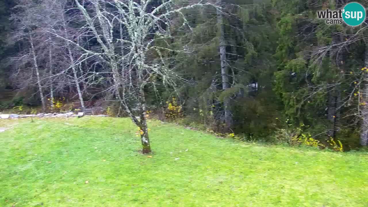 Webcam Lukanja – Pohorje houses a Water village