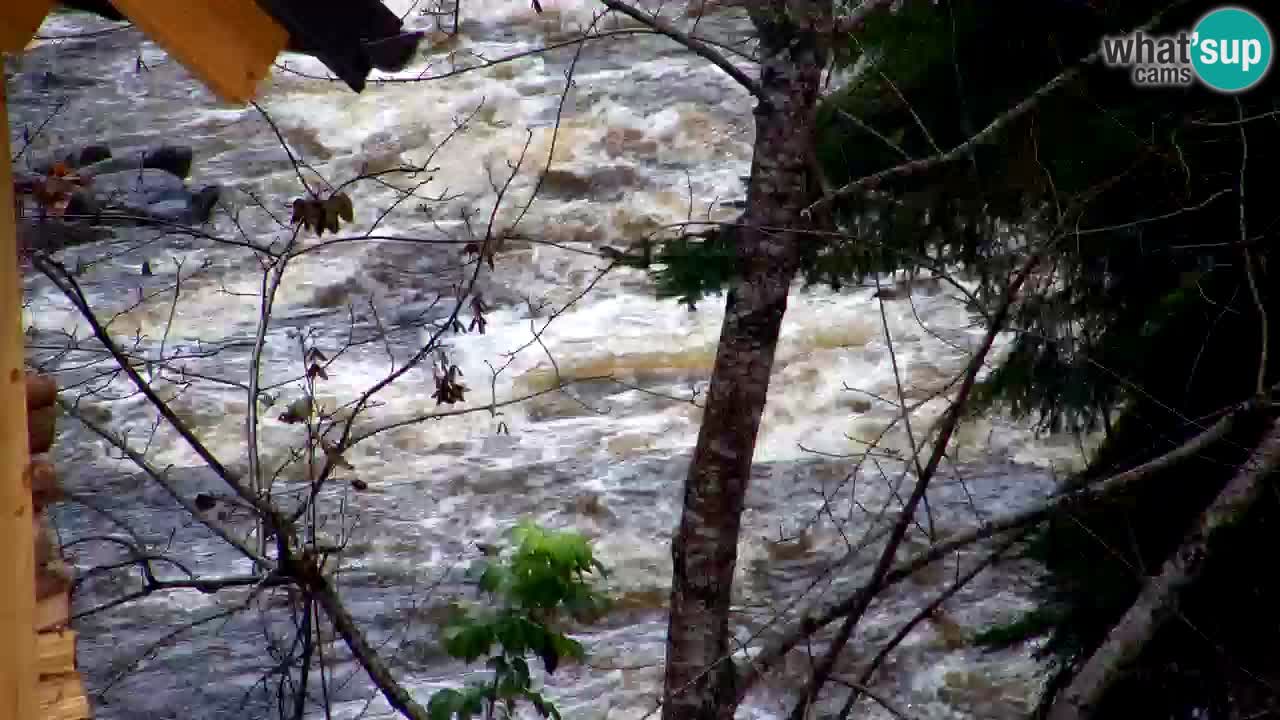 Webcam Lukanja – Pohorje houses a Water village