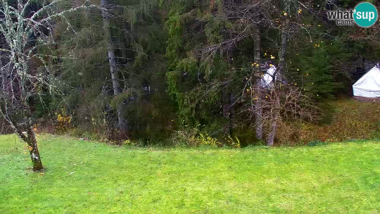 Webcam Lukanja – Pohorje houses a Water village