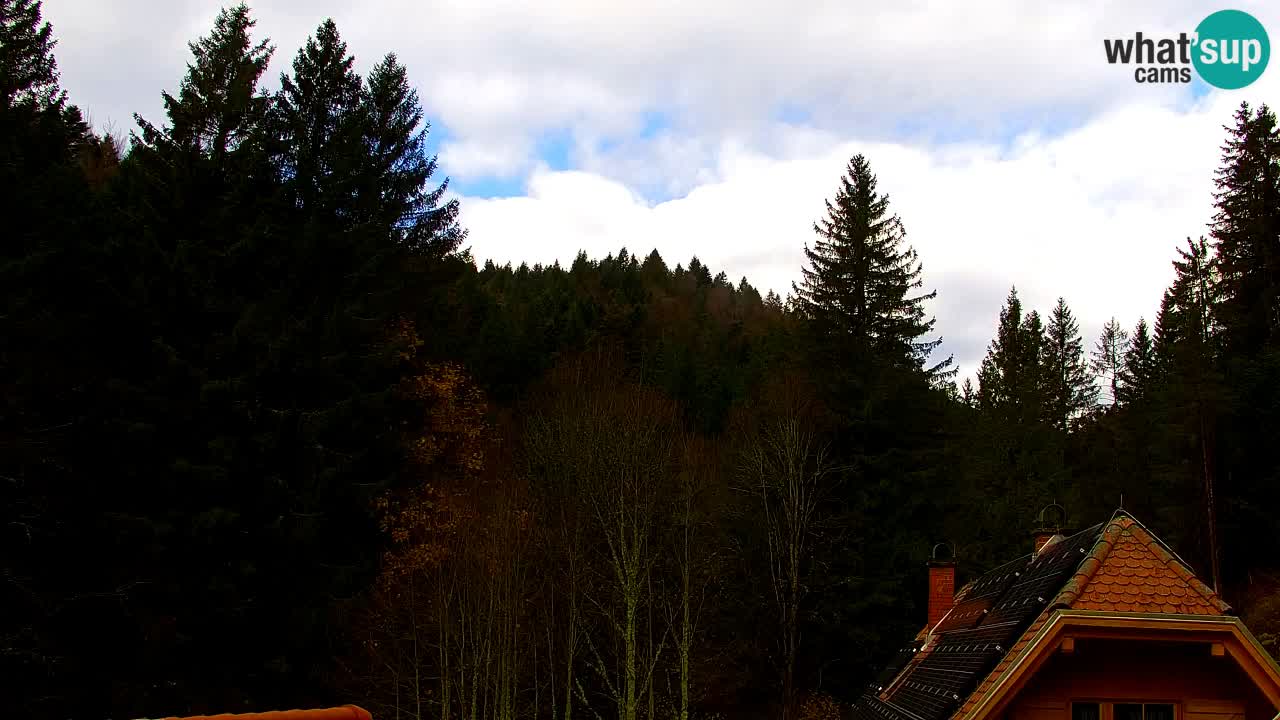 Webcam Lukanja – Pohorje houses a Water village