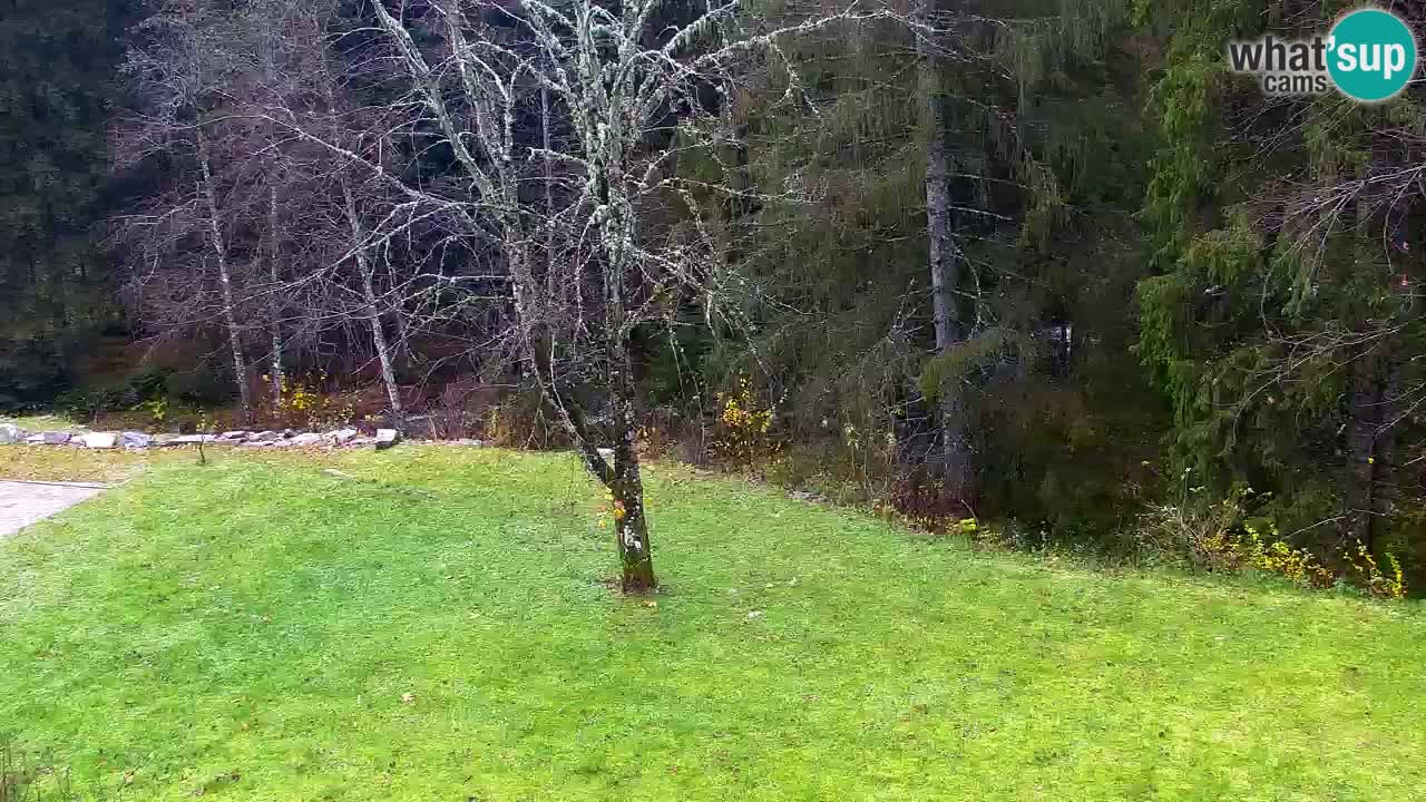 Webcam Lukanja – Pohorje houses a Water village