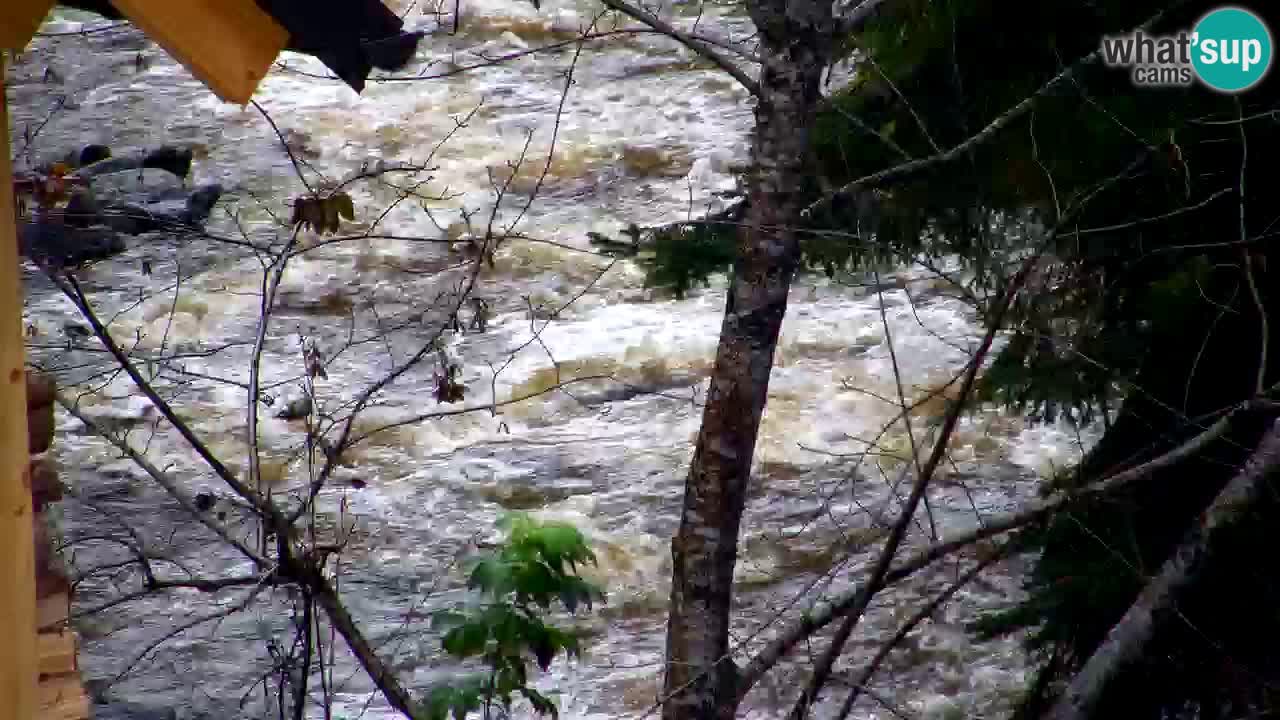 Webcam Lukanja – Water Village | Pohorje Houses