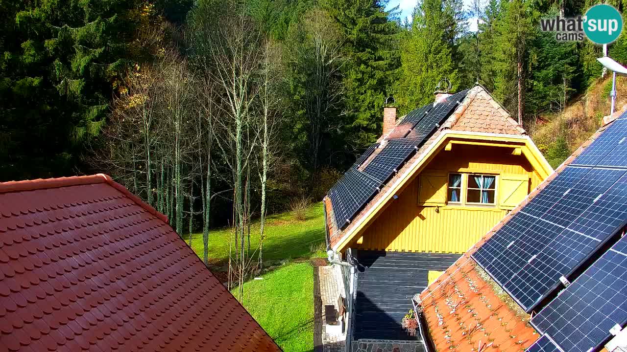 Web kamera Lukanja – Water Village | Pohorje Houses