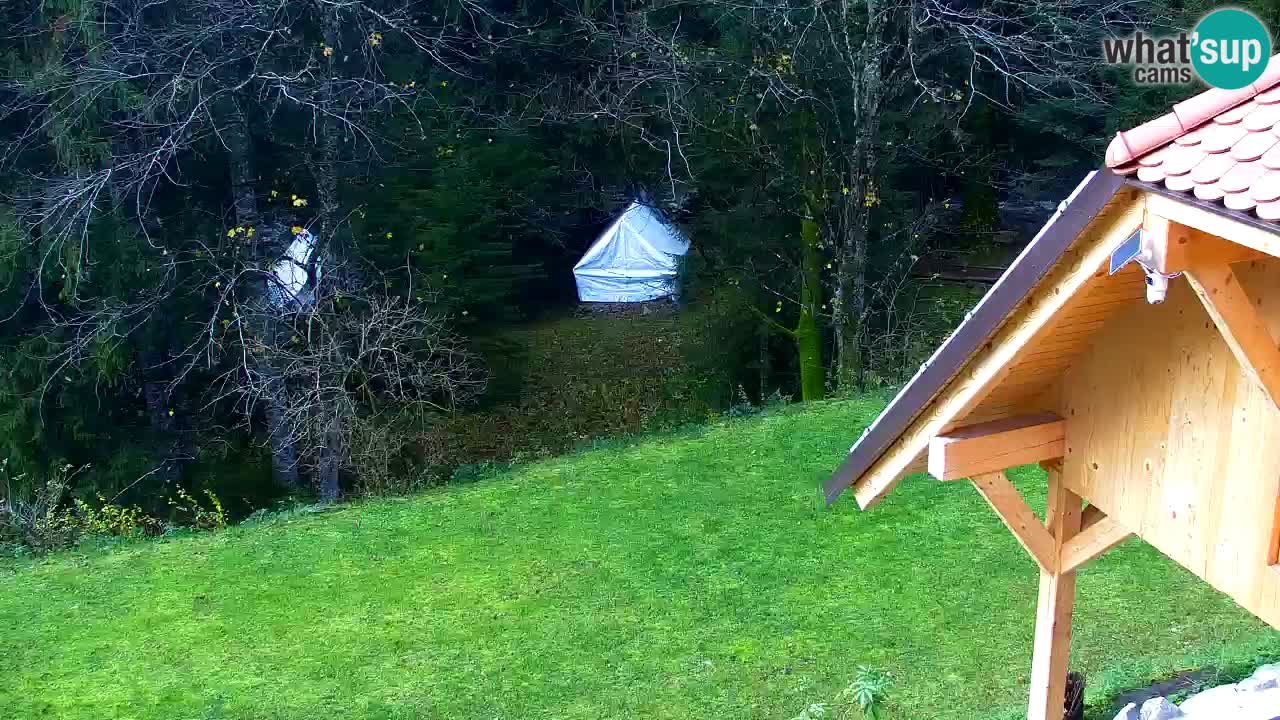 Webcam Lukanja – Water Village | Pohorje Houses