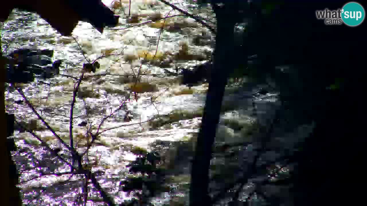 Webcam Lukanja – Water Village | Pohorje Houses