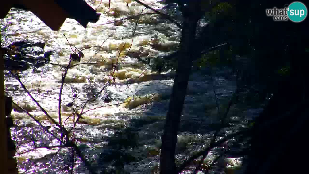 Webcam Lukanja – Water Village | Pohorje Houses