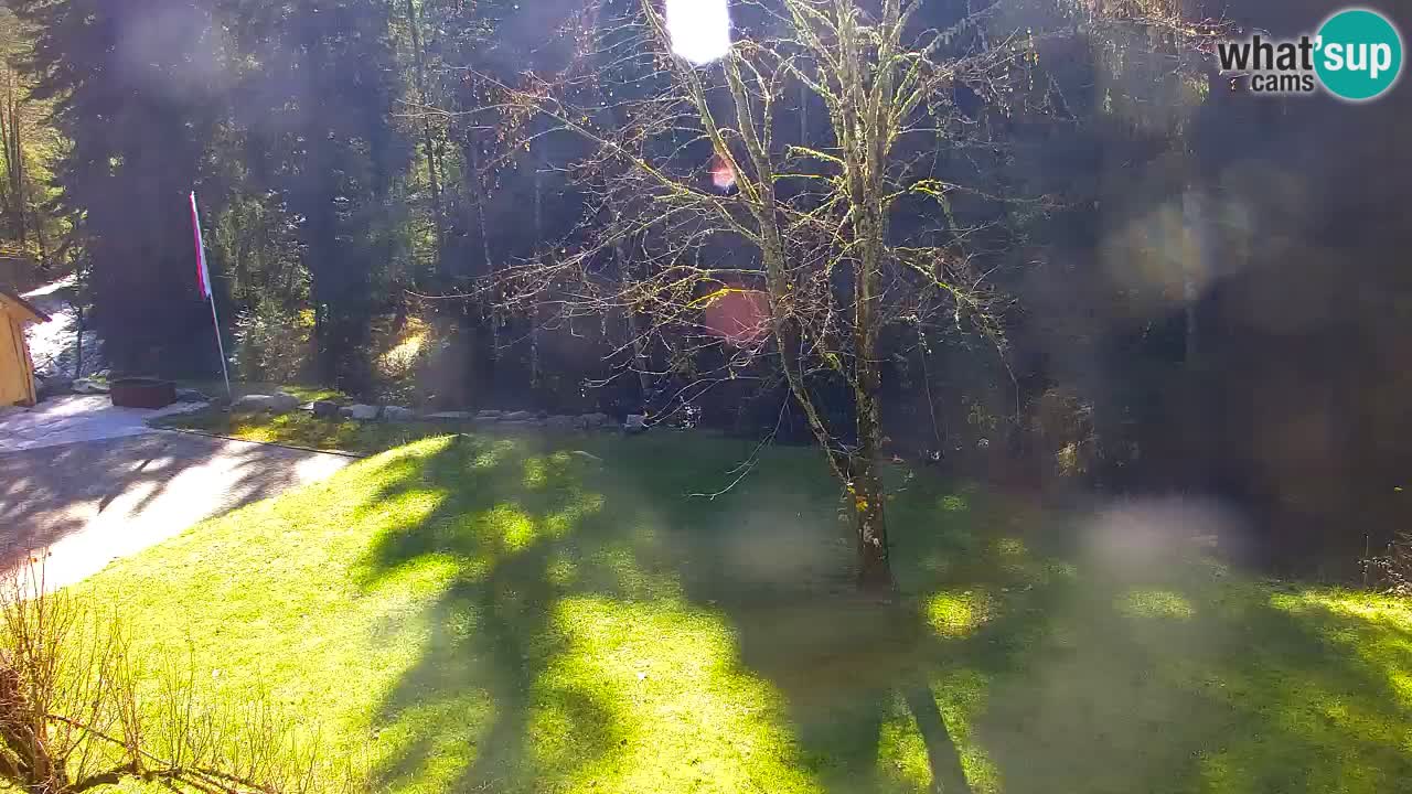 Webcam Lukanja – Water Village | Pohorje Houses