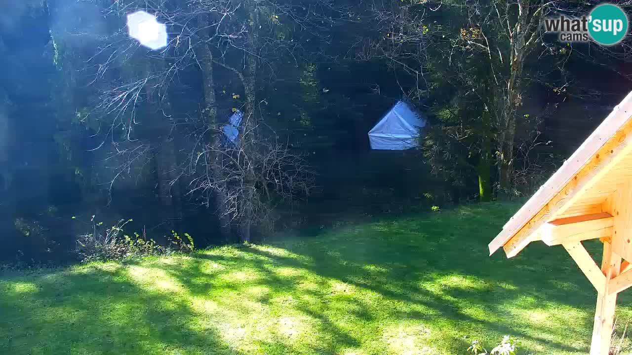 Webcam Lukanja – Water Village | Pohorje Houses