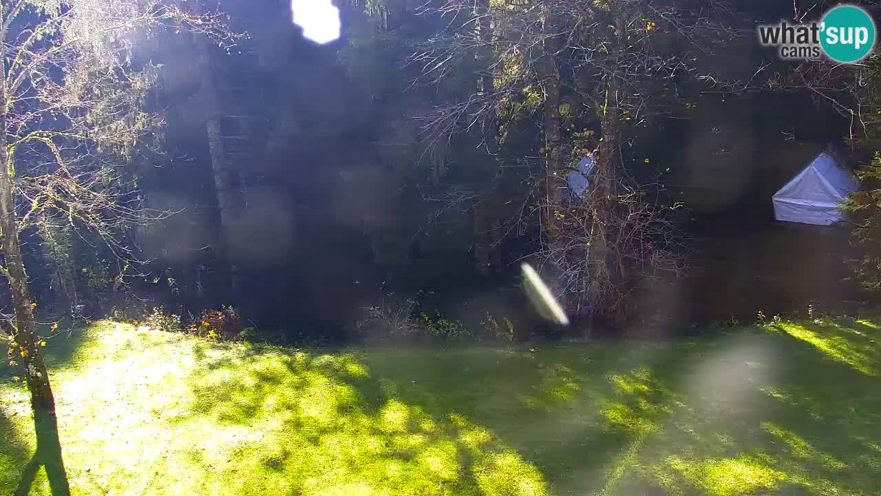 Webcam Lukanja – Pohorje houses a Water village