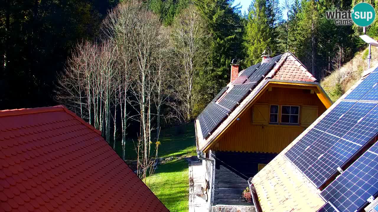 Webcam Lukanja – Water Village | Pohorje Houses