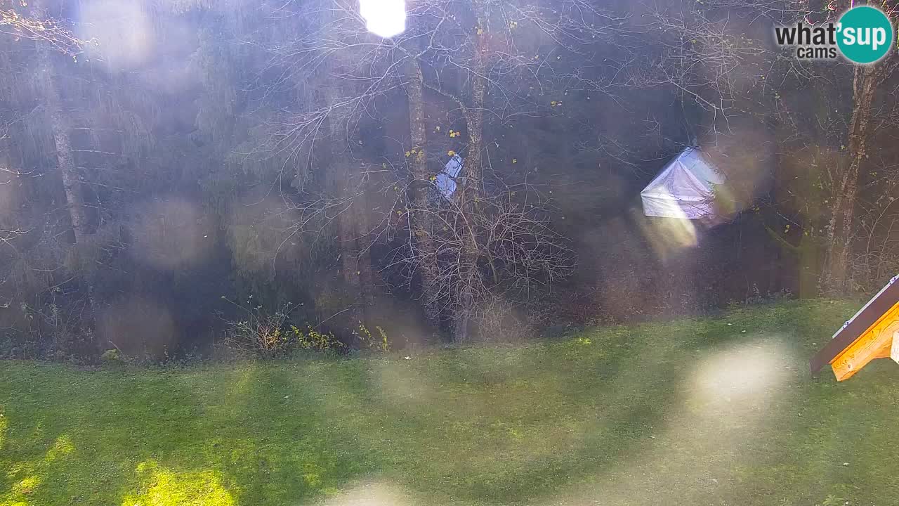 Webcam Lukanja – Pohorje houses a Water village