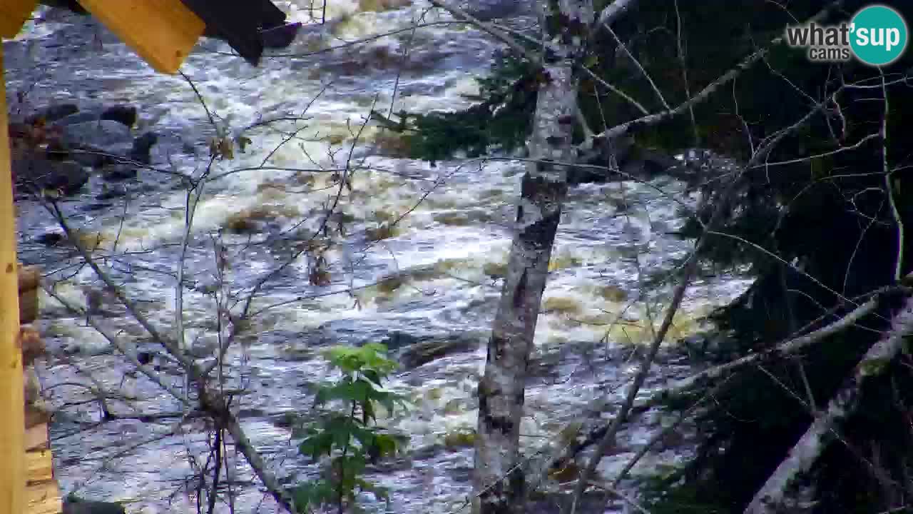 Webcam Lukanja – Water Village | Pohorje Houses