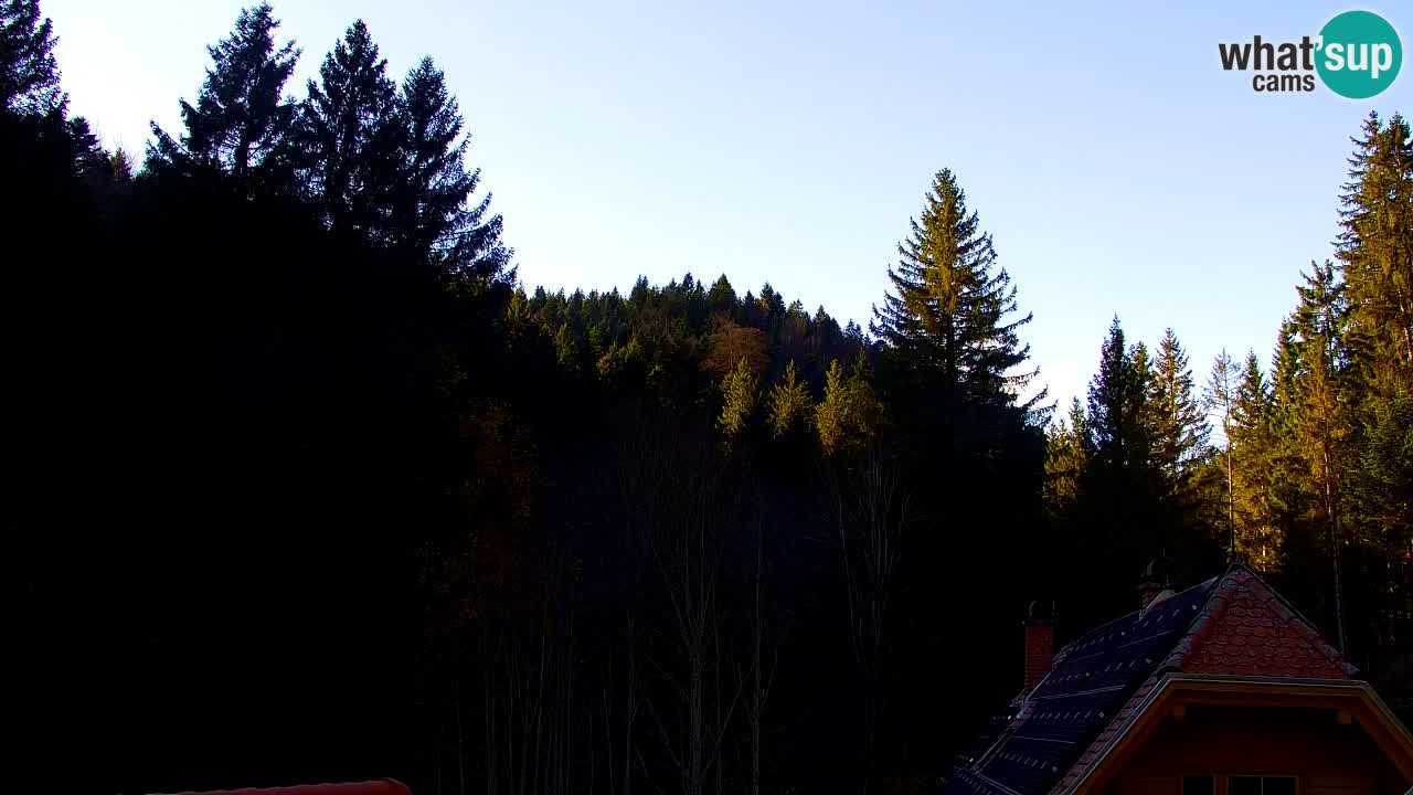 Spletna kamera Lukanja – Water Village | Pohorje Houses