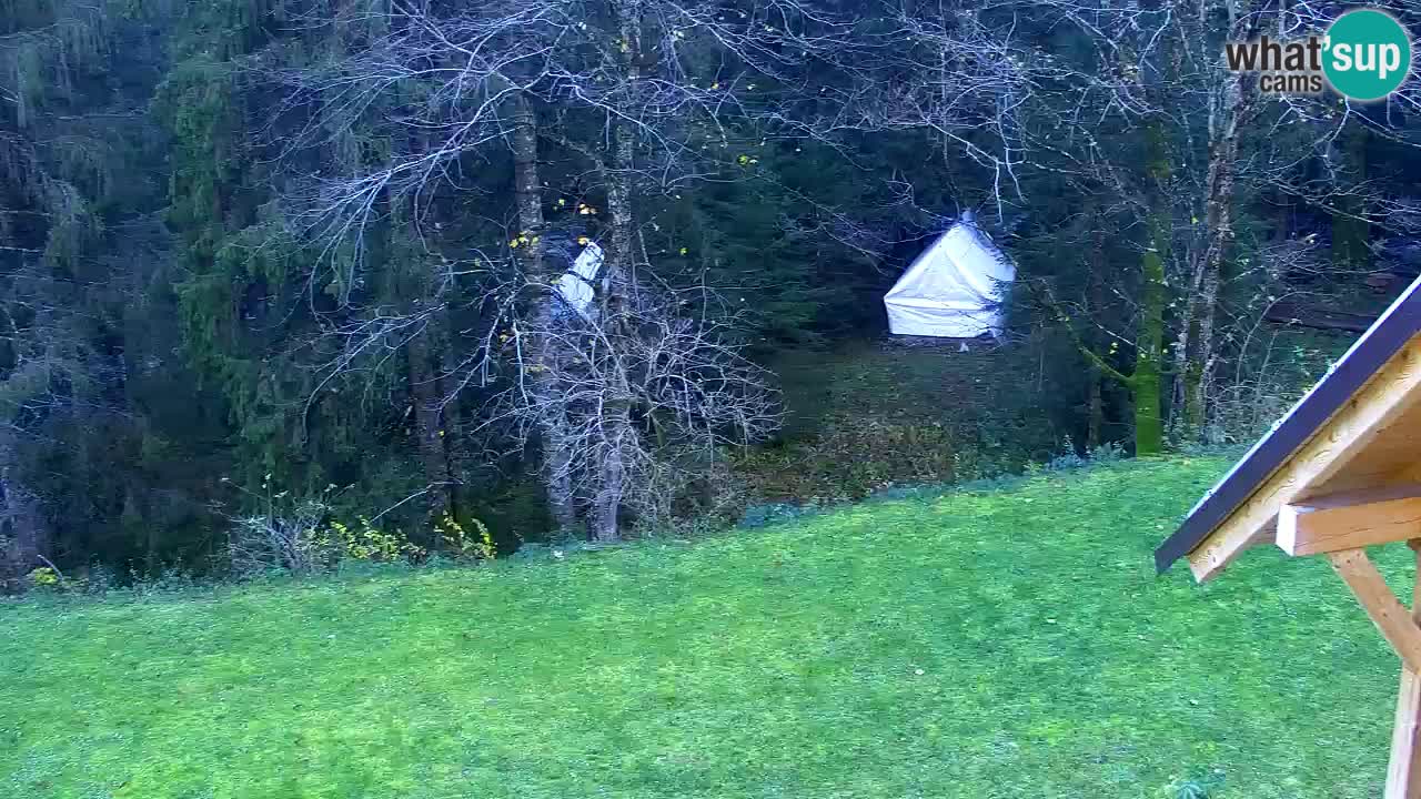 Webcam Lukanja – Water Village | Pohorje Houses