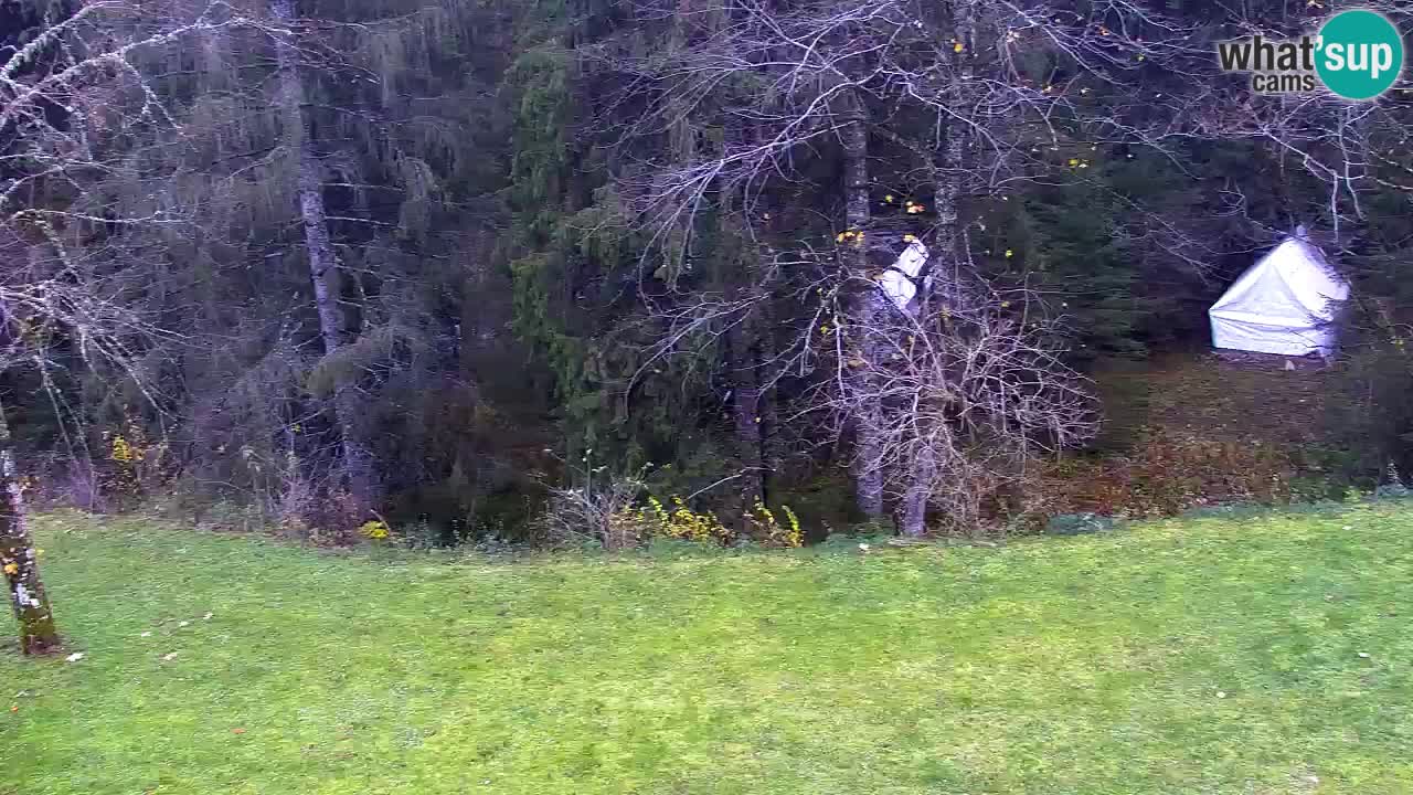 Webcam Lukanja – Pohorje houses a Water village