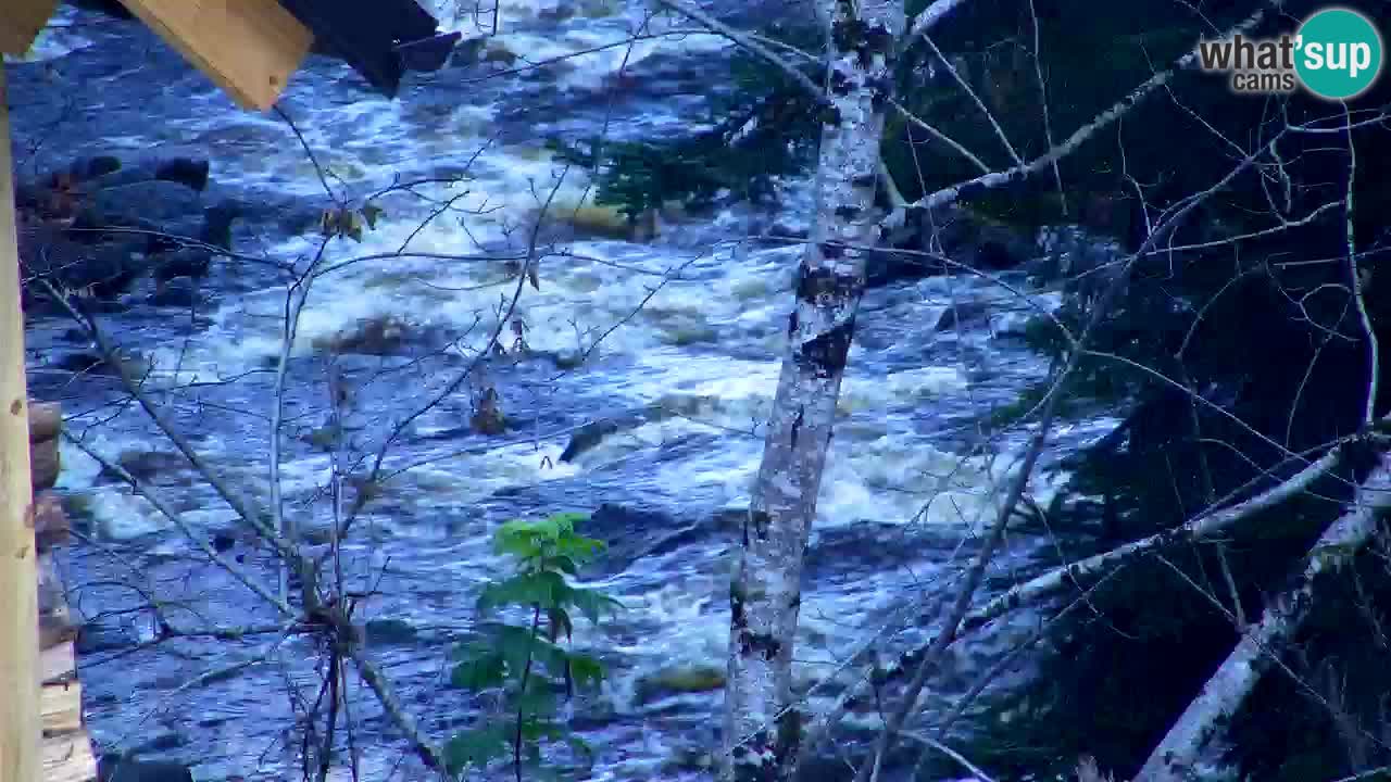 Webcam Lukanja – Water Village | Pohorje Houses