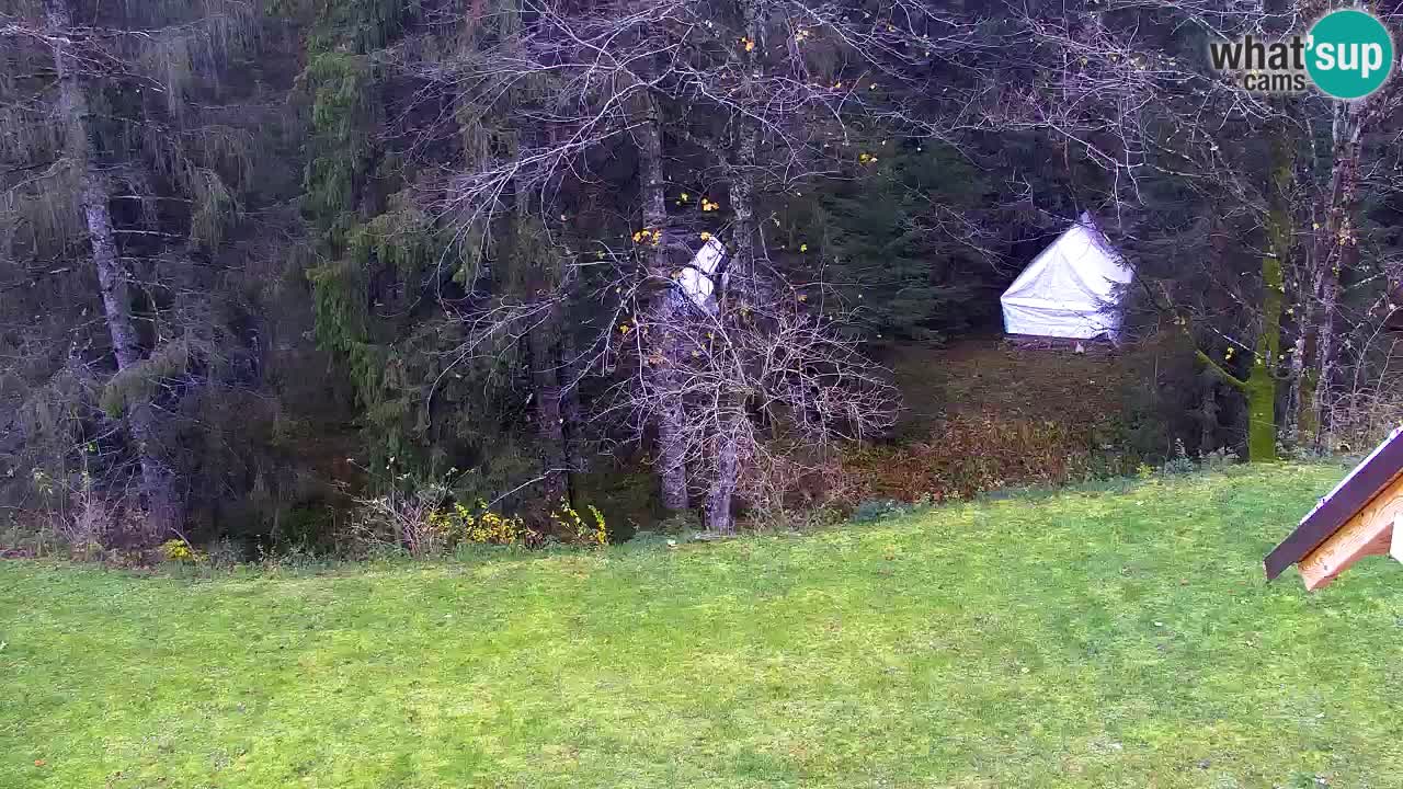 Webcam Lukanja – Water Village | Pohorje Houses