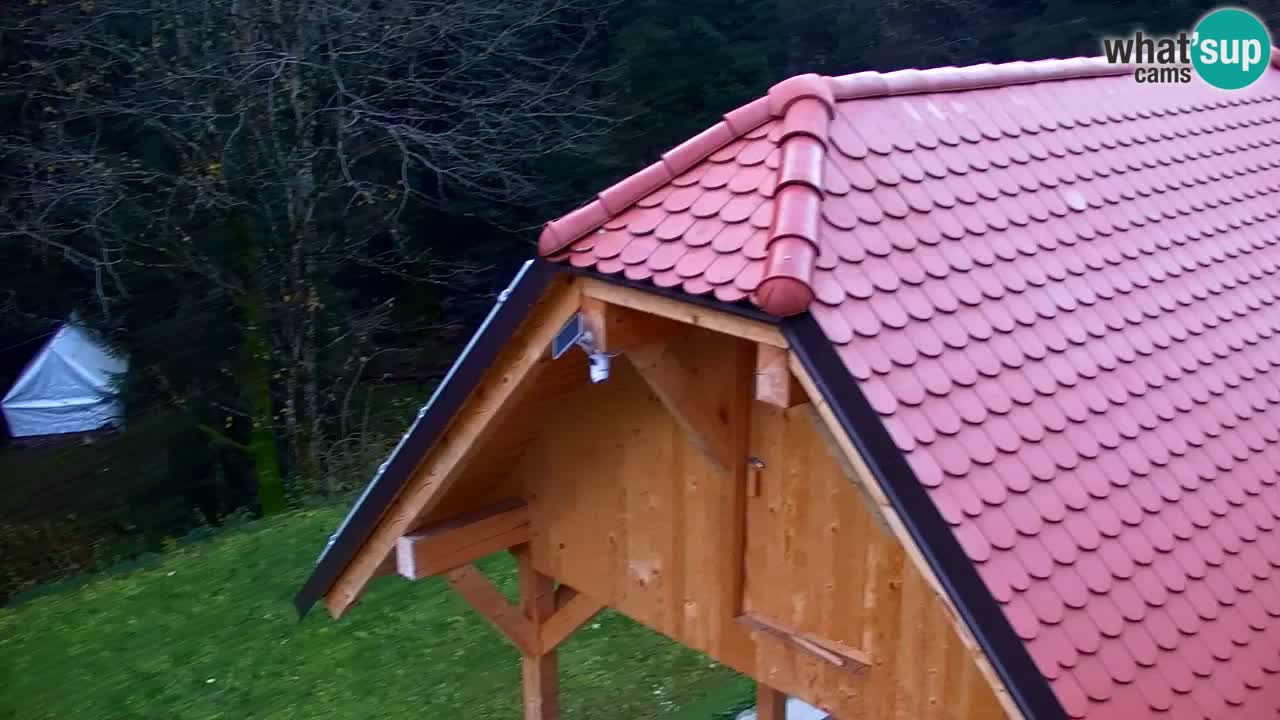 Webcam Lukanja – Water Village | Pohorje Houses