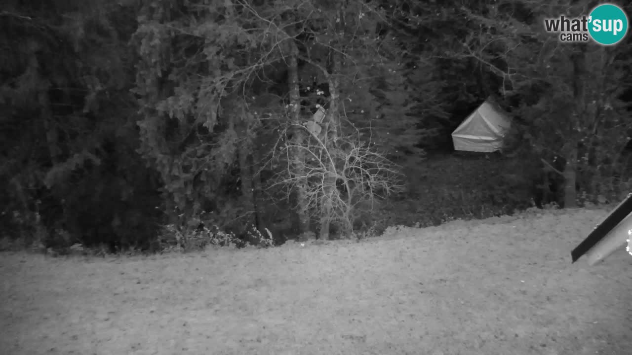 Webcam Lukanja – Pohorje houses a Water village