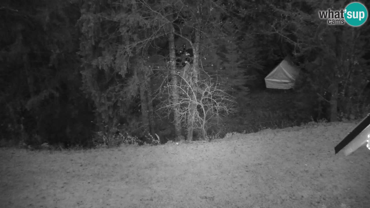 Web kamera Lukanja – Water Village | Pohorje Houses