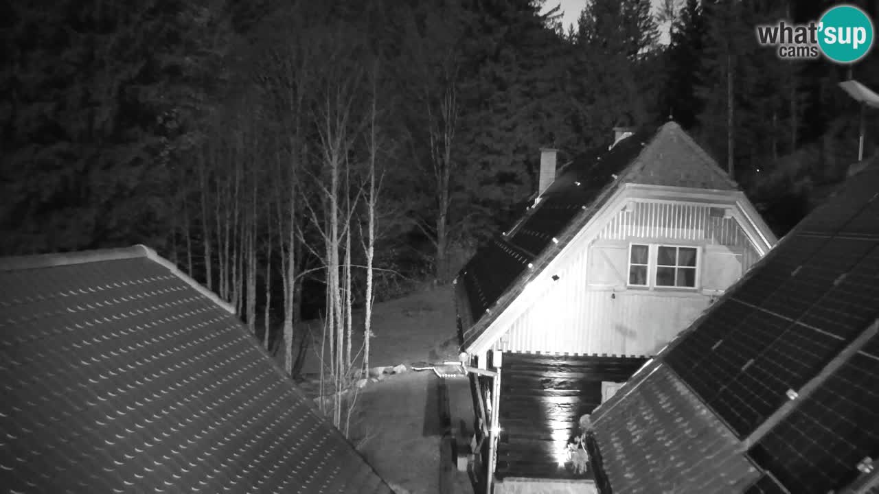 Webcam Lukanja – Water Village | Pohorje Houses