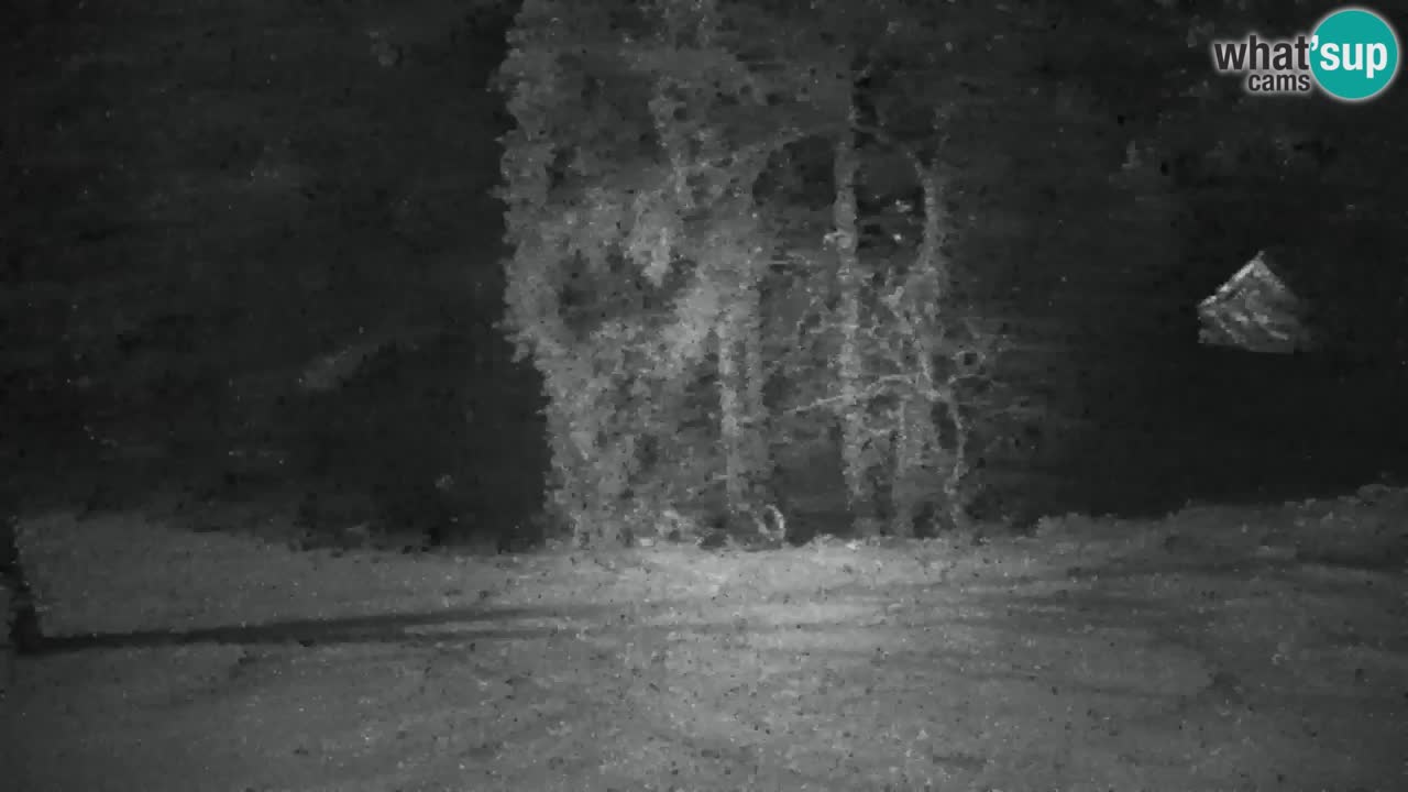 Webcam Lukanja – Pohorje houses a Water village