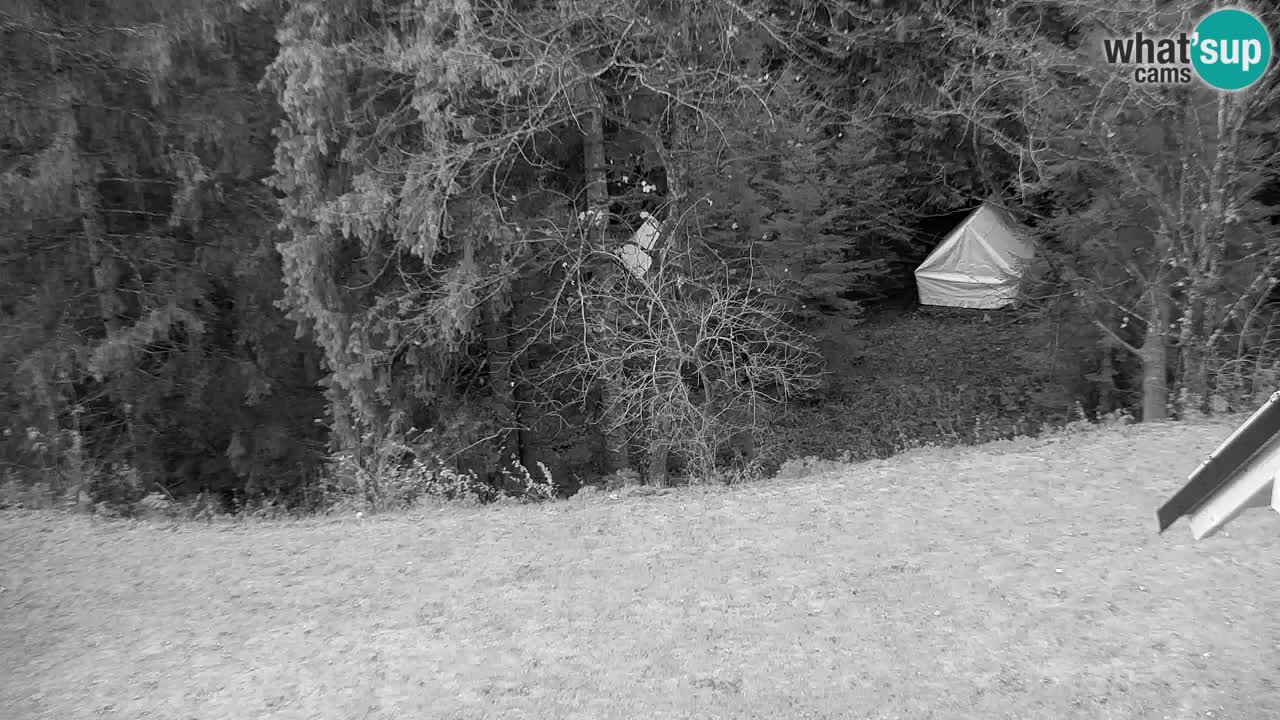 Webcam Lukanja – Water Village | Pohorje Houses