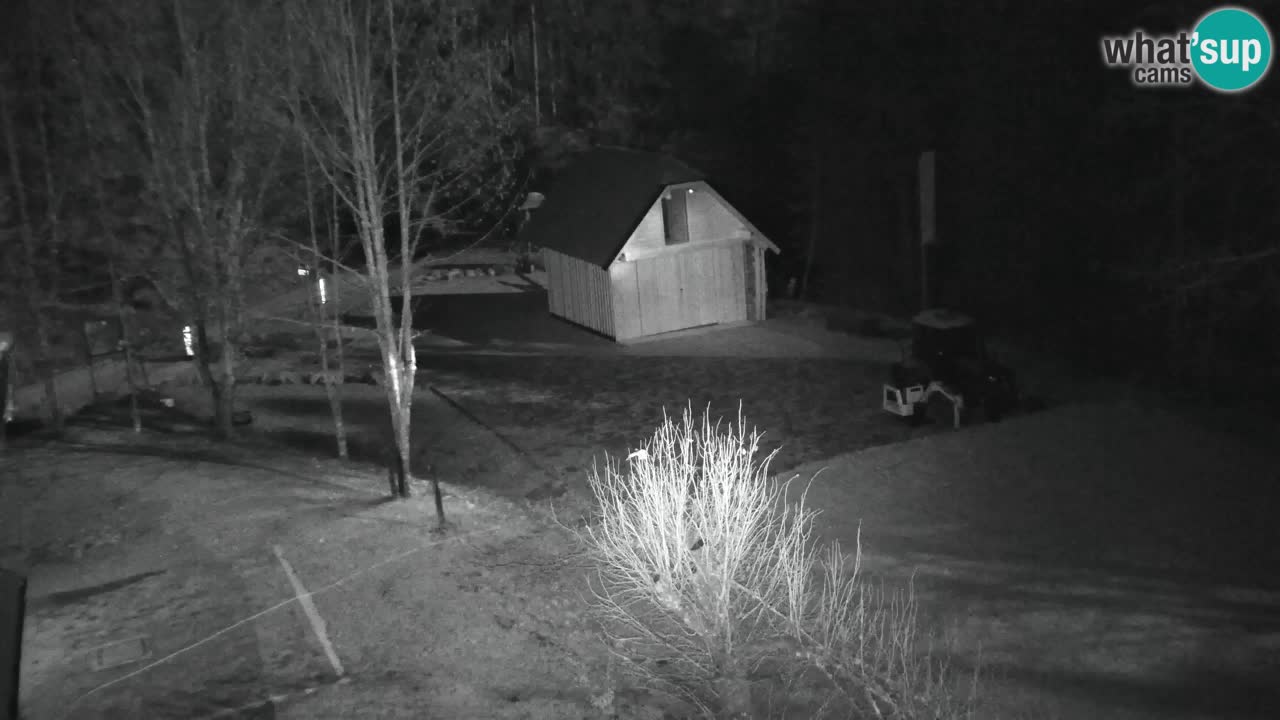 Webcam Lukanja – Water Village | Pohorje Houses