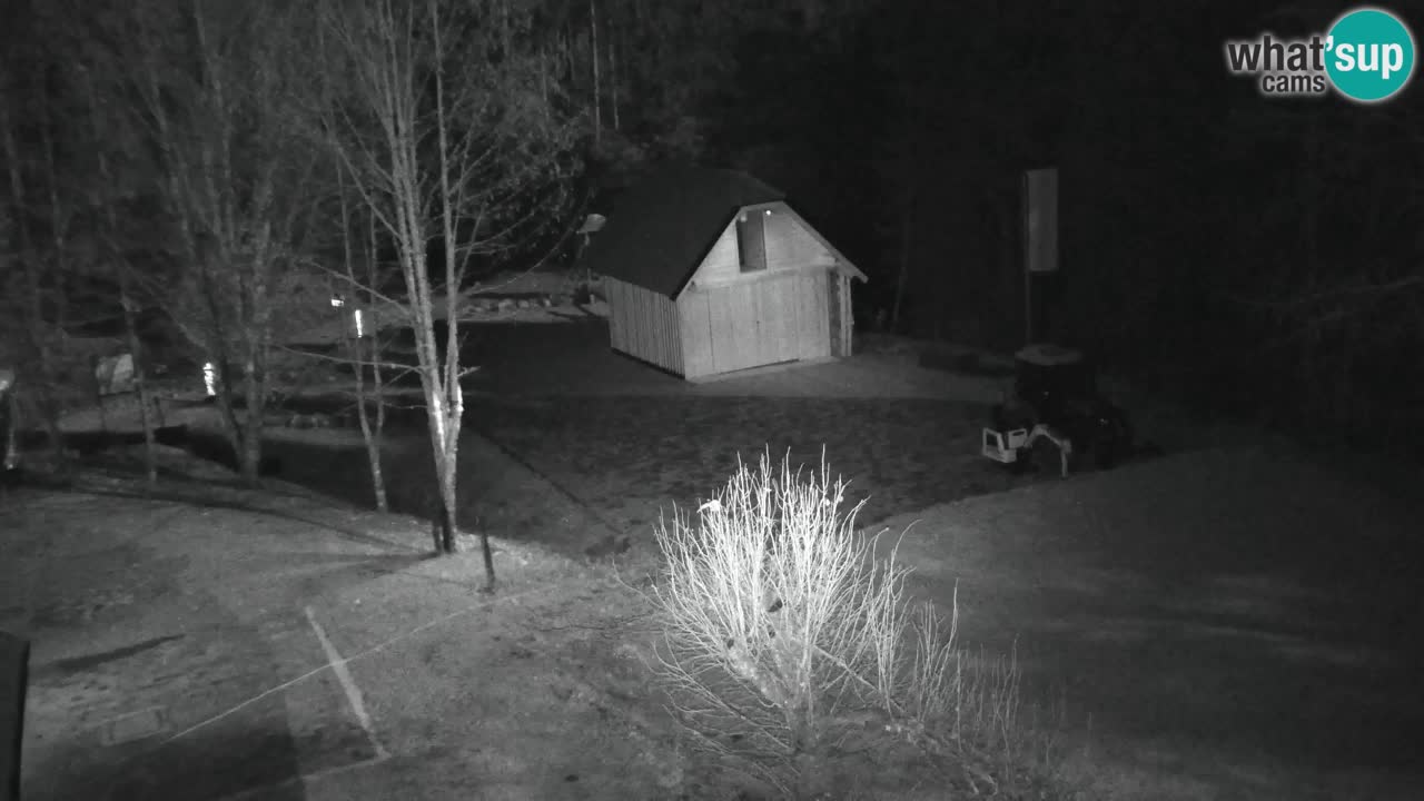 Webcam Lukanja – Pohorje houses a Water village