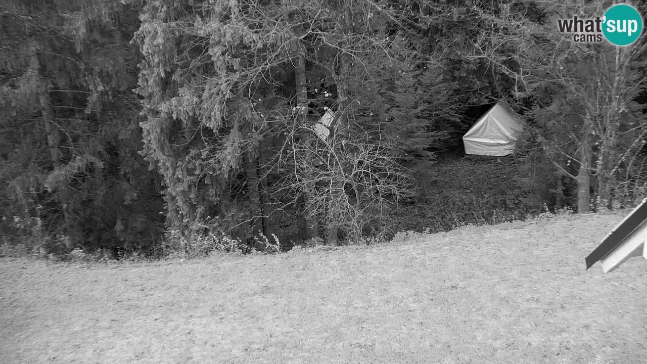 Webcam Lukanja – Water Village | Pohorje Houses