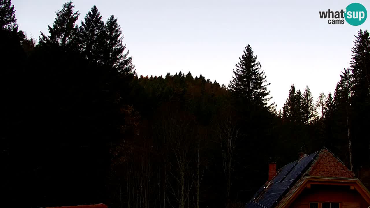 Web kamera Lukanja – Water Village | Pohorje Houses